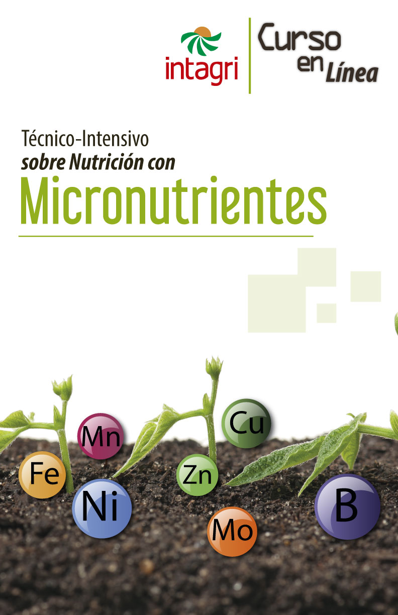 Seminario Virtual Micronutrientes Para Las Plantas Inicio Intagri Sc 6862